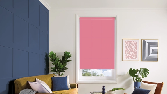 Roller Blind Gallery (58)
