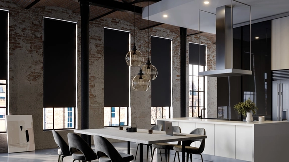 Roller Blind Gallery (60)