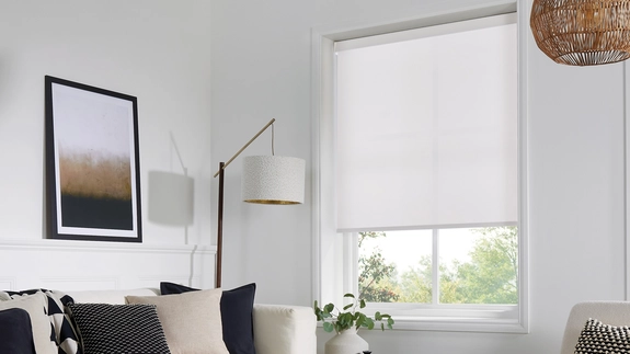 Roller Blind Gallery (81)