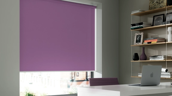 Roller Blind Gallery (86)
